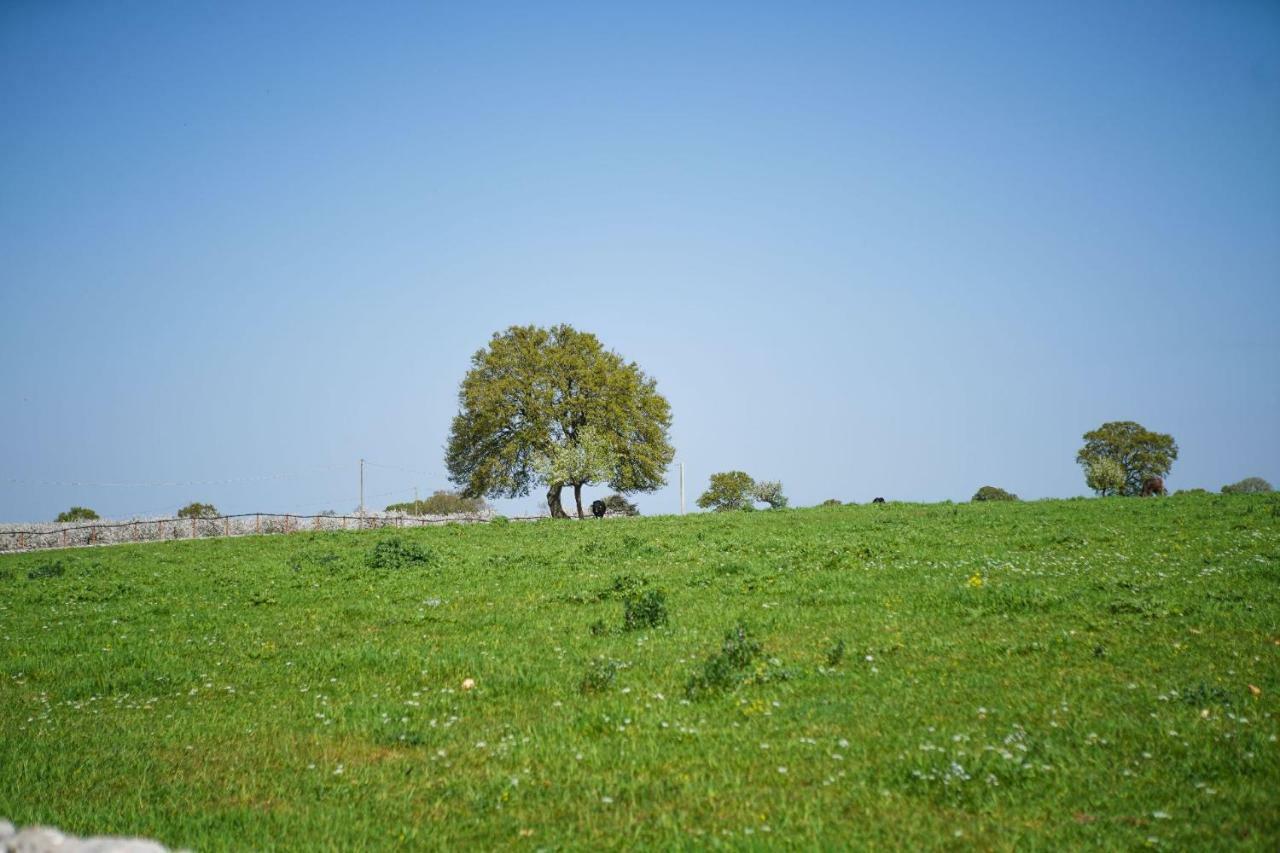 Masseria Guadiano Vecchio Santa Lucia (Brindisi) Exterior foto